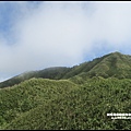 抹茶山19.JPG