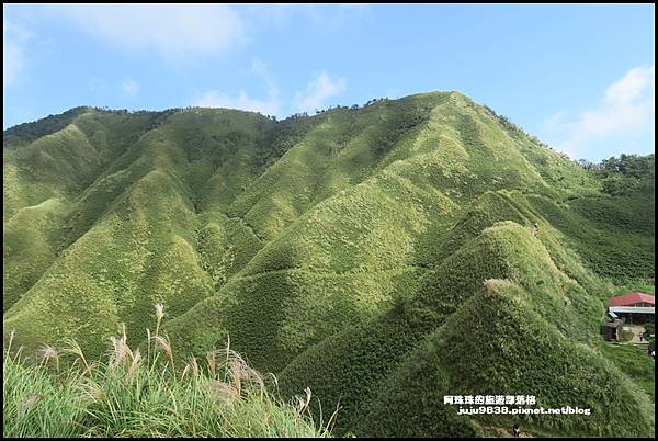 抹茶山22.JPG