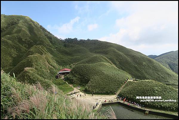 抹茶山23.JPG