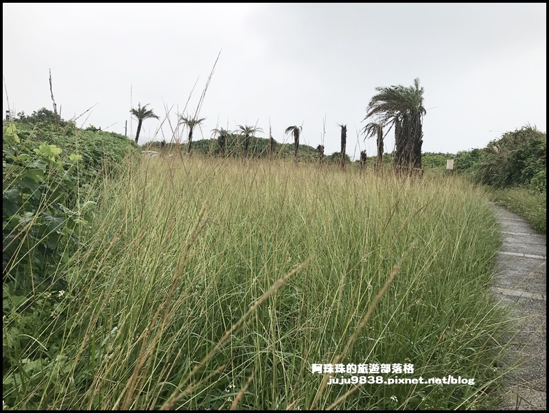 富貴角1.JPG 富貴角1.JPG