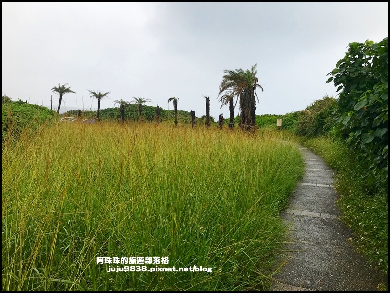 富貴角6.JPG 富貴角6.JPG