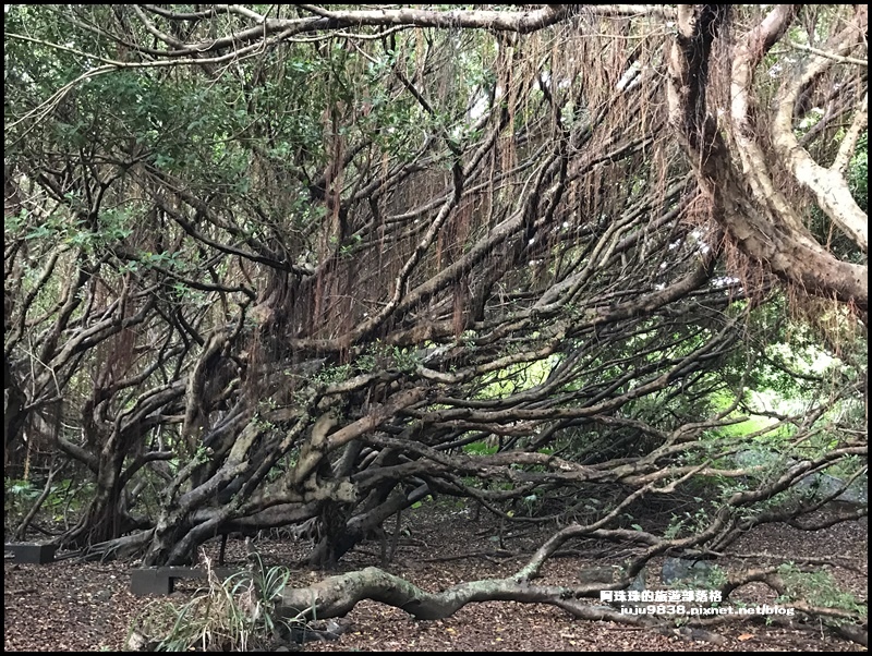 富貴角燈塔31.JPG 富貴角燈塔31.JPG