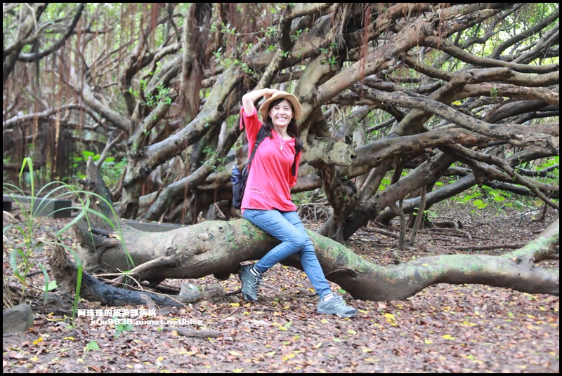 富貴角燈塔63.JPG 富貴角燈塔63.JPG