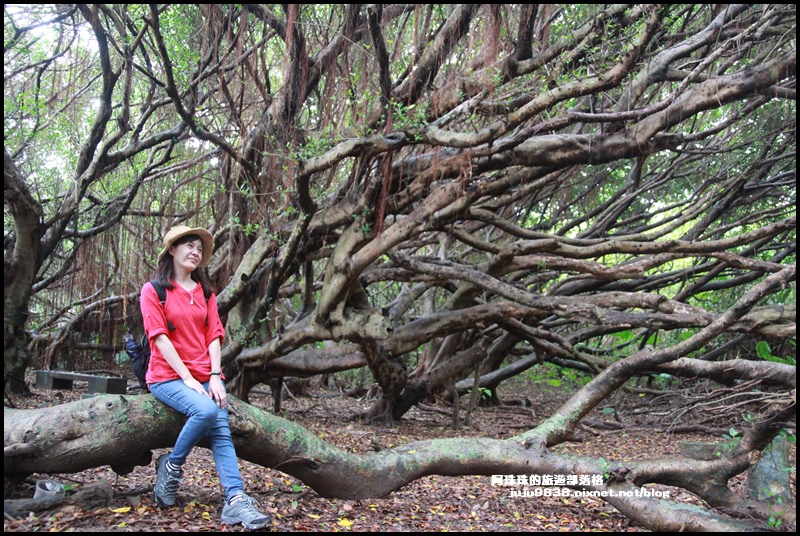 富貴角燈塔66.JPG 富貴角燈塔66.JPG