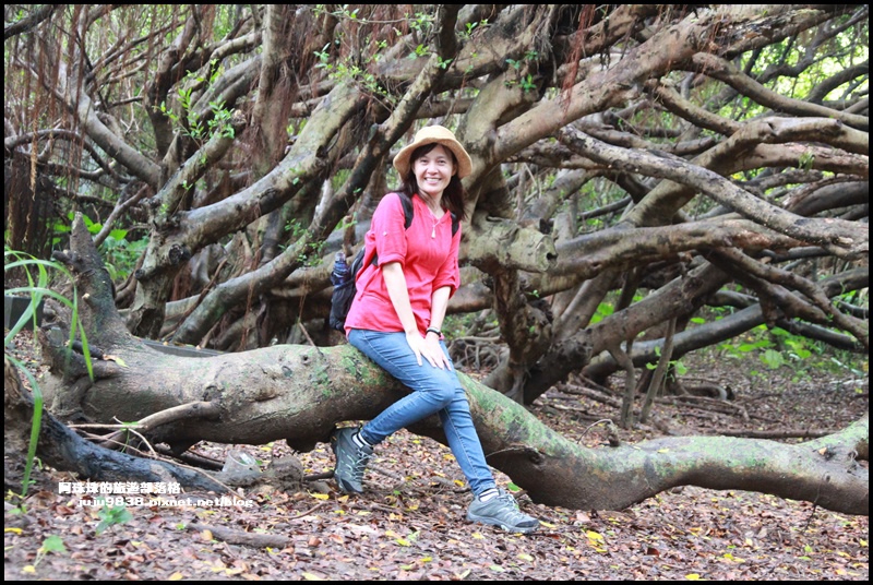 富貴角燈塔64.JPG 富貴角燈塔64.JPG