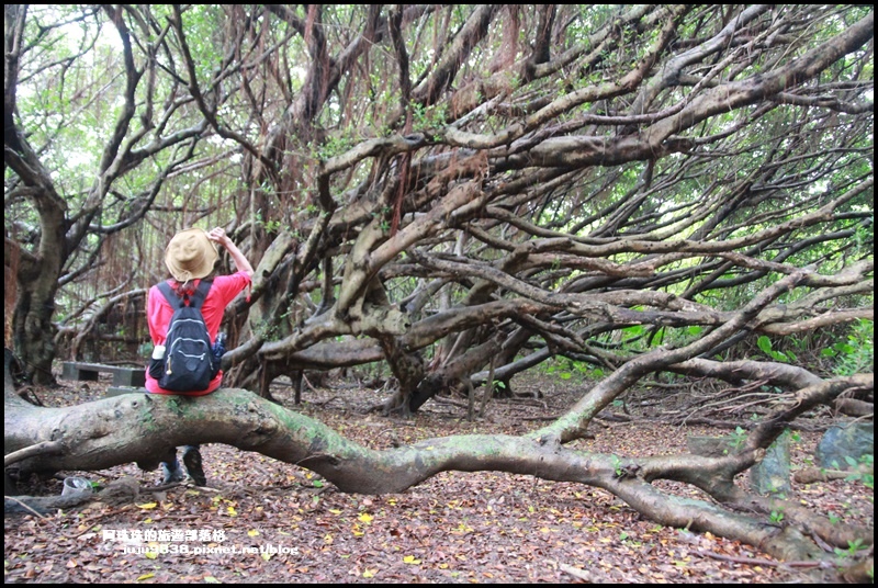 富貴角燈塔65.JPG 富貴角燈塔65.JPG