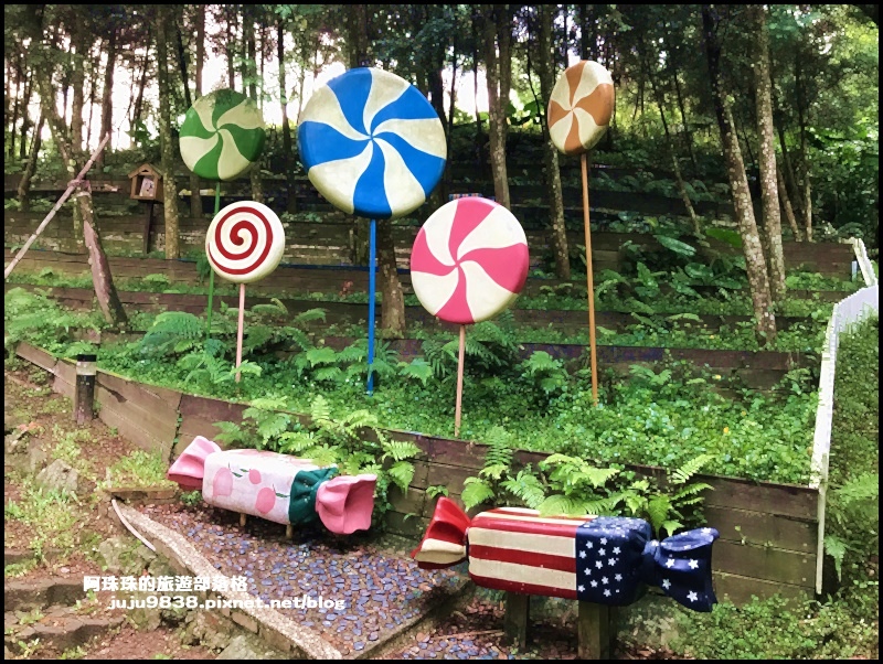 綠光森林1.JPEG 綠光森林1.JPEG