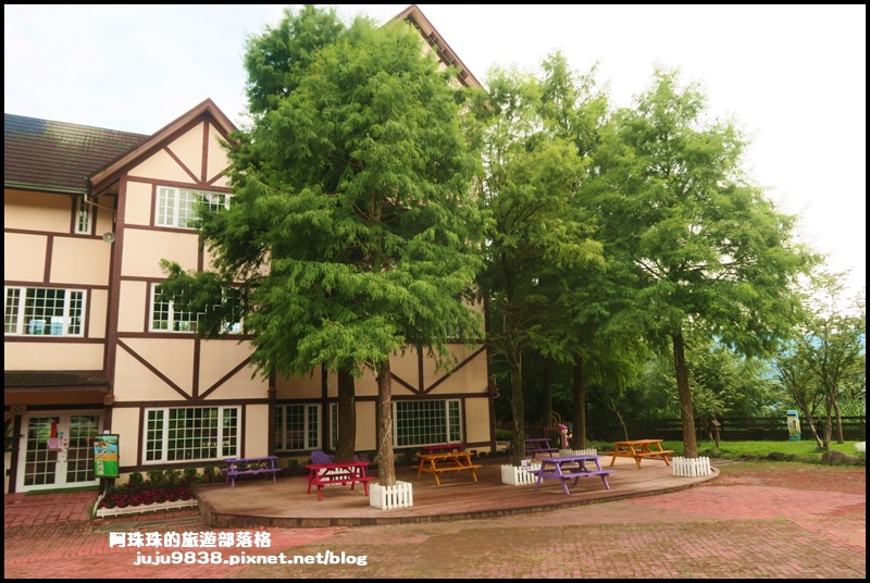 綠光森林29.JPG 綠光森林29.JPG