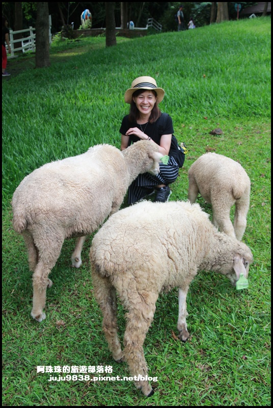 綠光森林44.JPG 綠光森林44.JPG