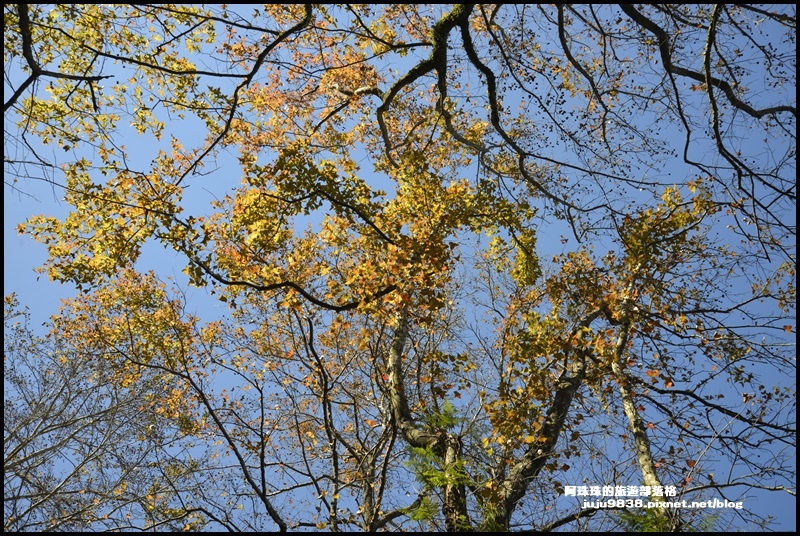 石門水庫4.JPG 石門水庫4.JPG