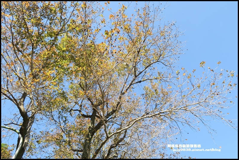 石門水庫9.JPG 石門水庫9.JPG