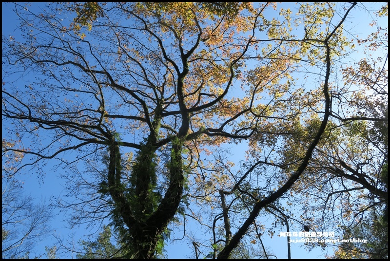 石門水庫15.JPG 石門水庫15.JPG