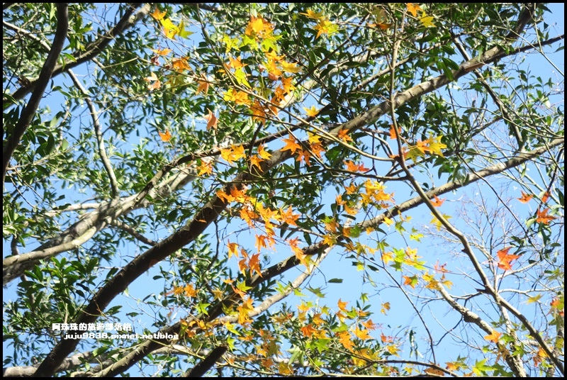 石門水庫13.JPG 石門水庫13.JPG