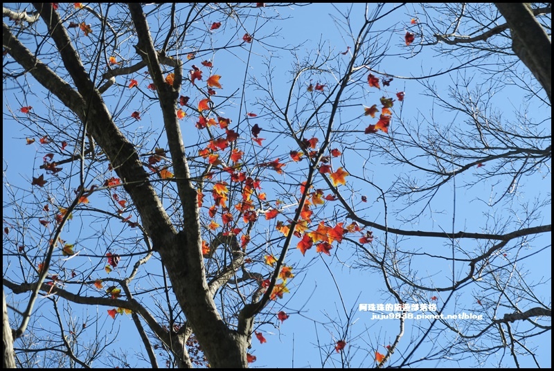 石門水庫12.JPG 石門水庫12.JPG