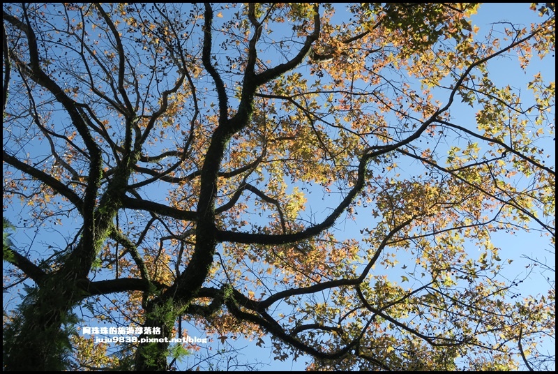 石門水庫16.JPG 石門水庫16.JPG