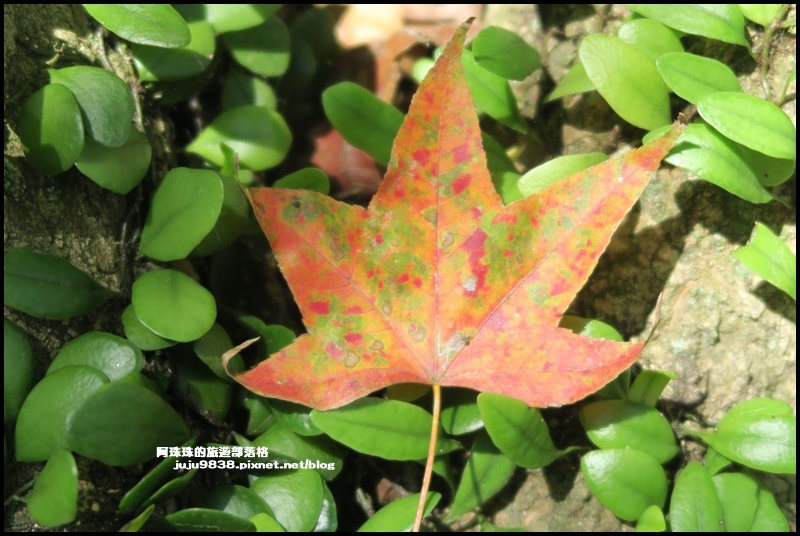 石門水庫26.JPG 石門水庫26.JPG