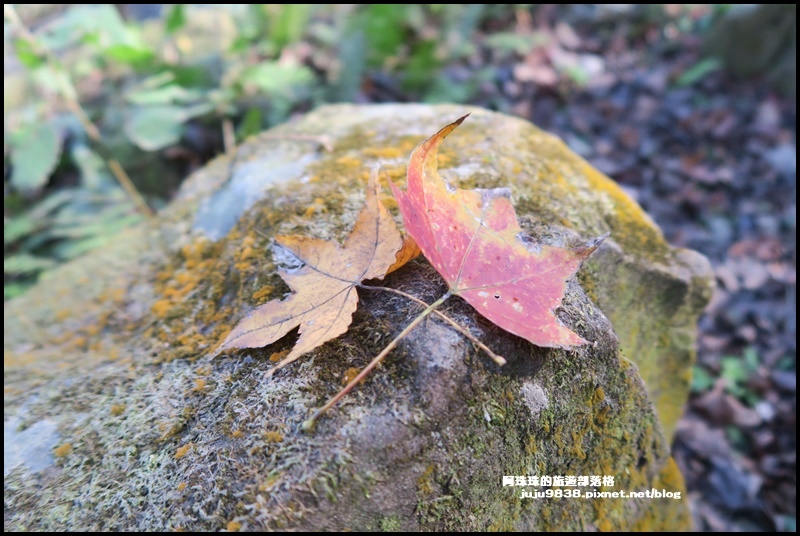 石門水庫22.JPG 石門水庫22.JPG