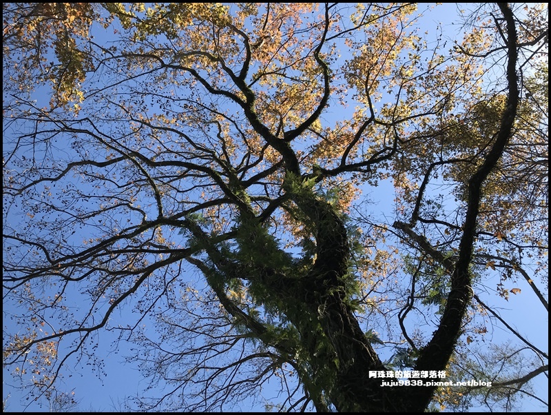 石門水庫37.JPG 石門水庫37.JPG