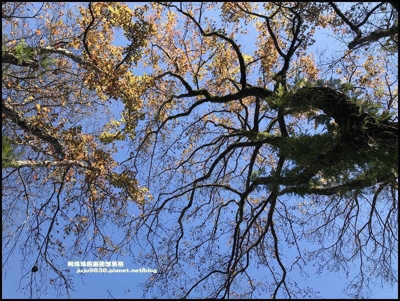 石門水庫36.JPG 石門水庫36.JPG