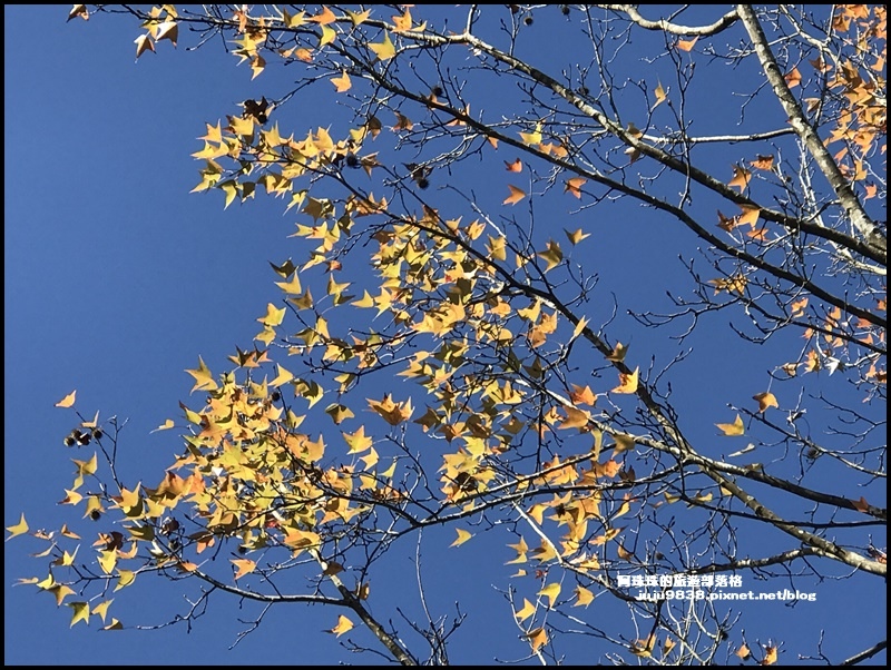 石門水庫44.JPG 石門水庫44.JPG