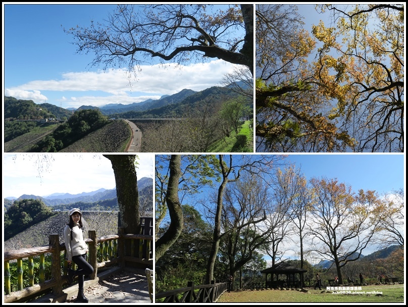 ,桃園,龍潭區,石門水庫,賞楓,楓葉,楓林,溪州公園,落羽松,健行,踏青,拍照,打卡,步道,