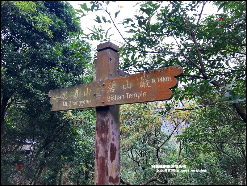 白石湖14.JPG 白石湖14.JPG