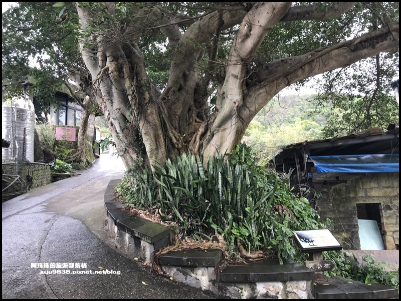 白石湖33.JPG 白石湖33.JPG