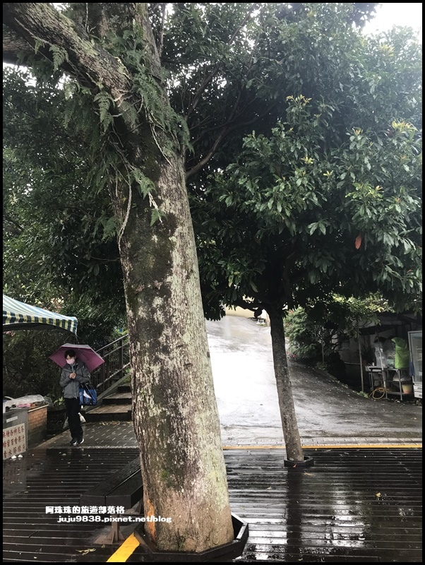 白石湖37.JPG 白石湖37.JPG