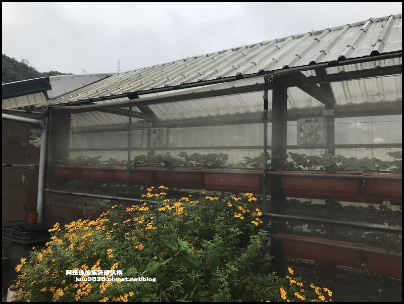 白石湖39.JPG 白石湖39.JPG