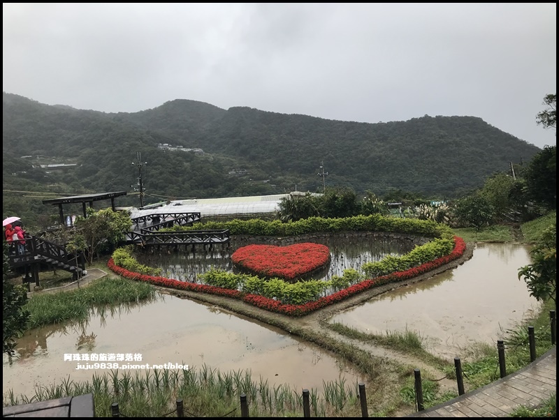 白石湖35.JPG 白石湖35.JPG