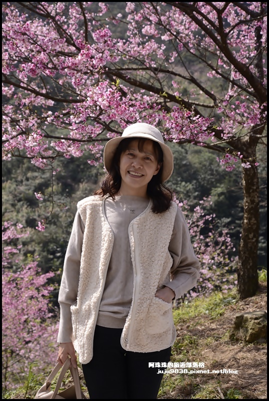 大熊櫻花園8.JPG 大熊櫻花園8.JPG