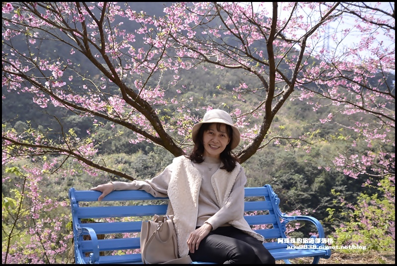 大熊櫻花園7.JPG 大熊櫻花園7.JPG