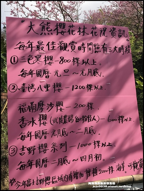大熊櫻花園21.JPG 大熊櫻花園21.JPG