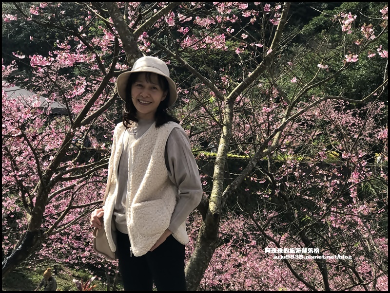 大熊櫻花園29.JPG 大熊櫻花園29.JPG