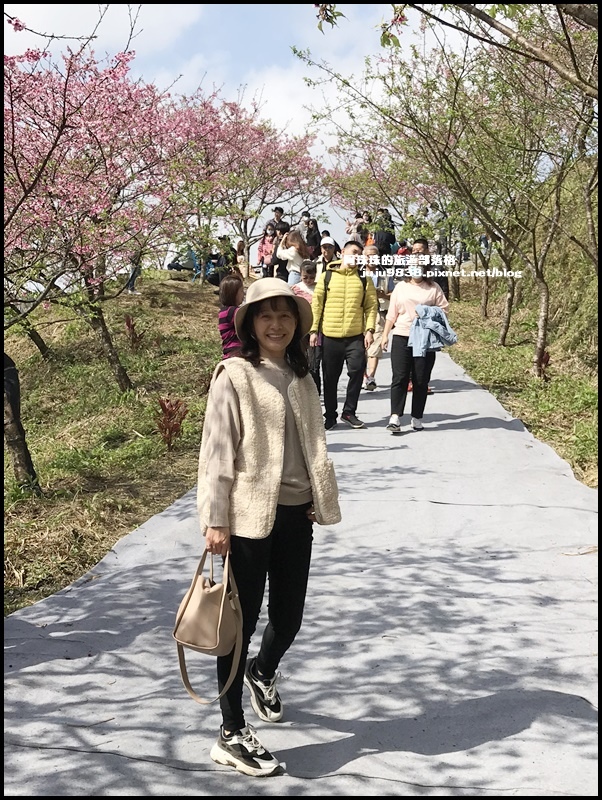 大熊櫻花園32.JPG 大熊櫻花園32.JPG