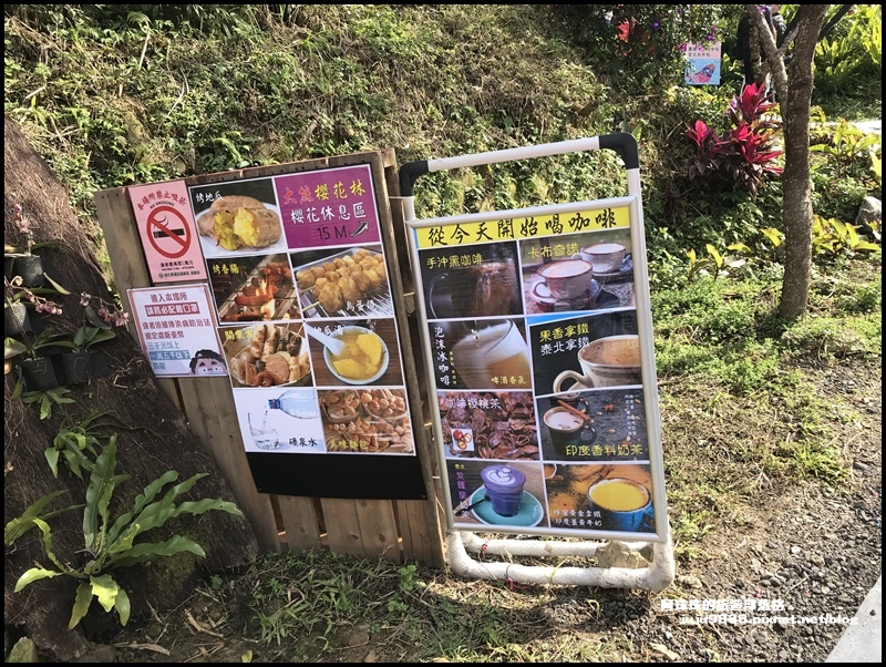 大熊櫻花園43.JPG 大熊櫻花園43.JPG