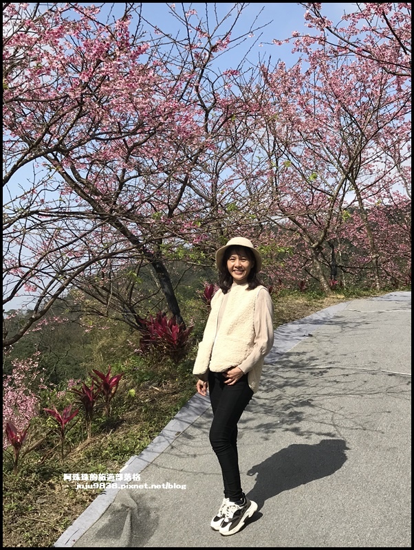 大熊櫻花園41.JPG 大熊櫻花園41.JPG