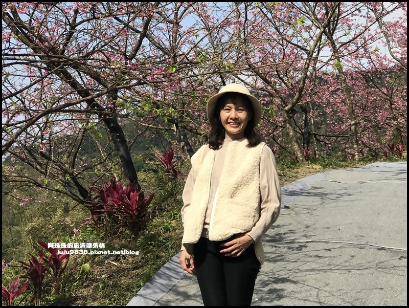 大熊櫻花園42.JPG 大熊櫻花園42.JPG