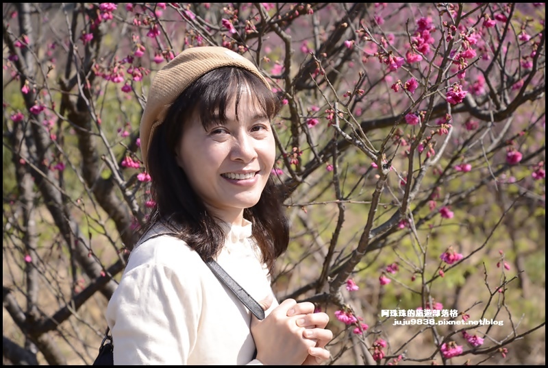 平菁街5.JPG 平菁街5.JPG