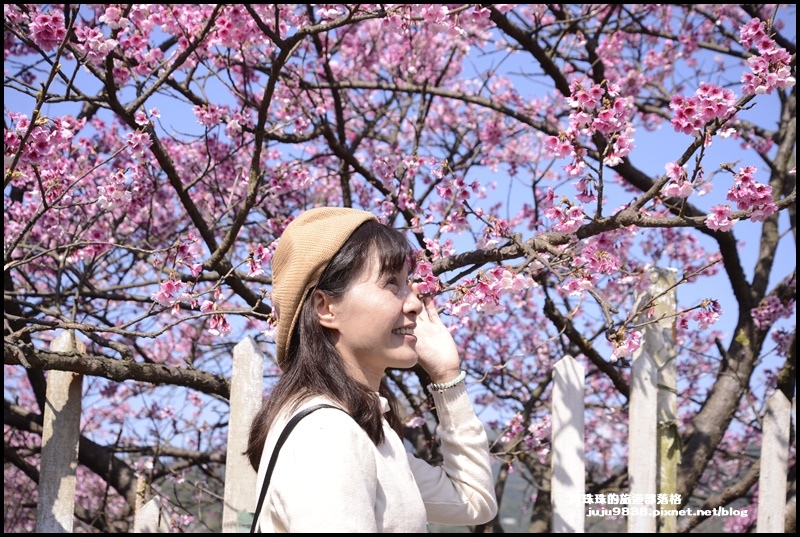 平菁街1.JPG 平菁街1.JPG