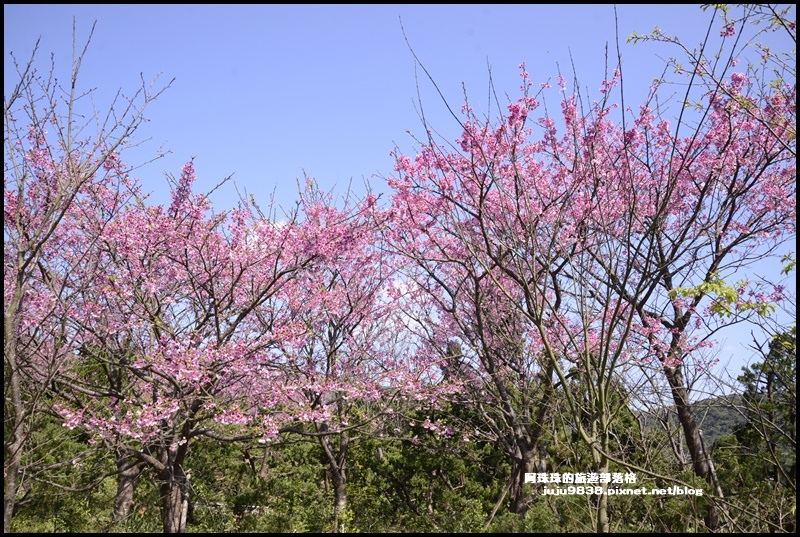 平菁街11.JPG 平菁街11.JPG