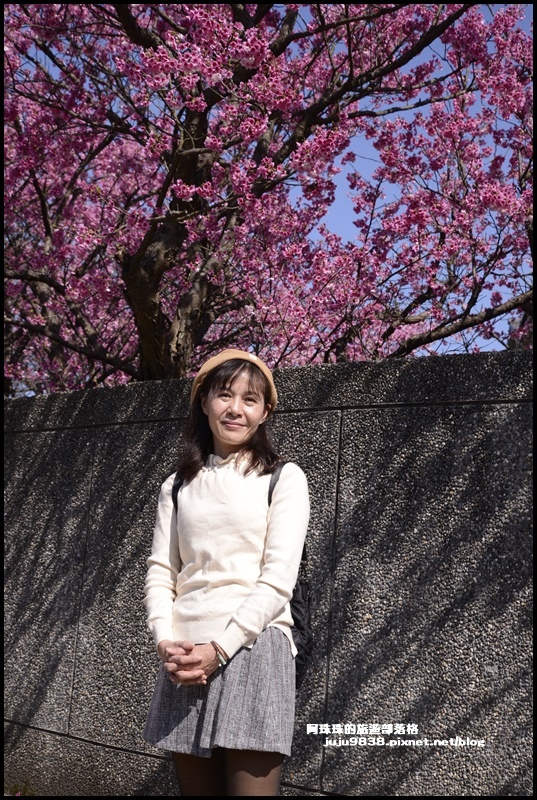 平菁街9.JPG 平菁街9.JPG