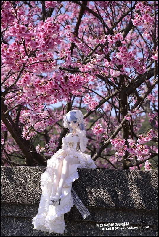 平菁街15.JPG 平菁街15.JPG