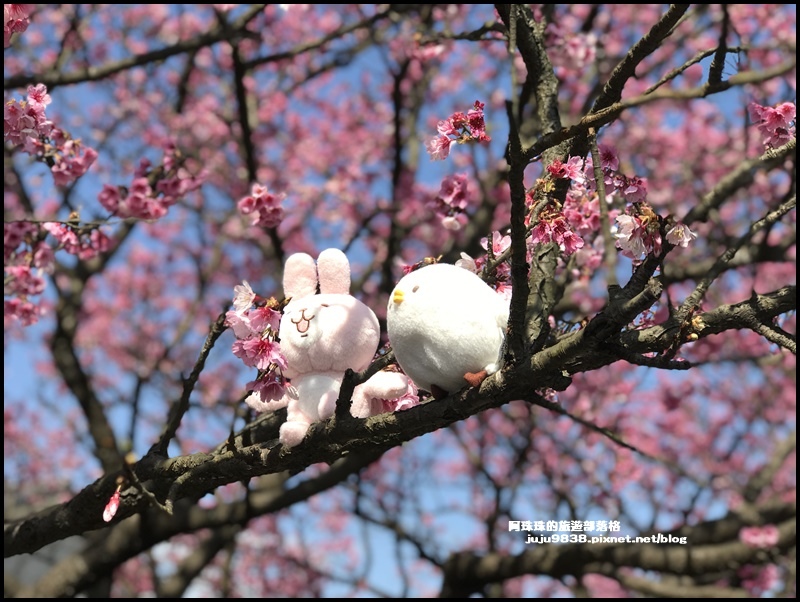 平菁街17.JPG 平菁街17.JPG