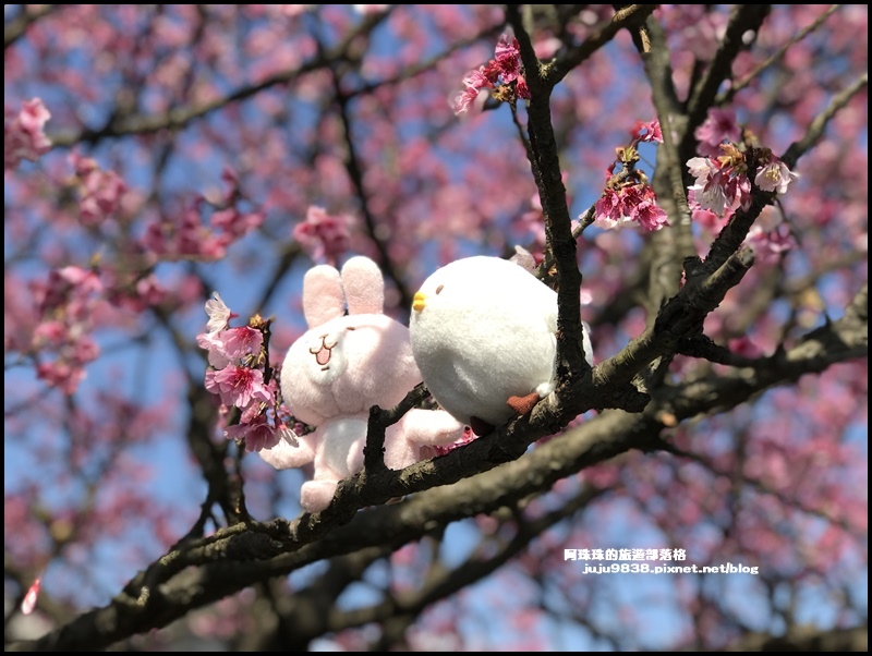 平菁街18.JPG 平菁街18.JPG