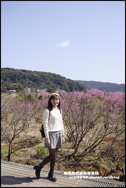 平菁街14.JPG 平菁街14.JPG