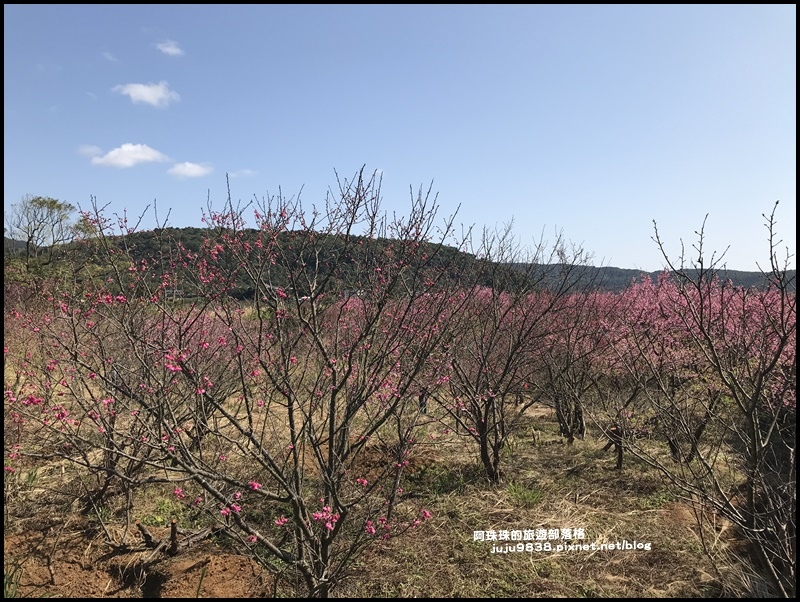 平菁街25.JPG 平菁街25.JPG