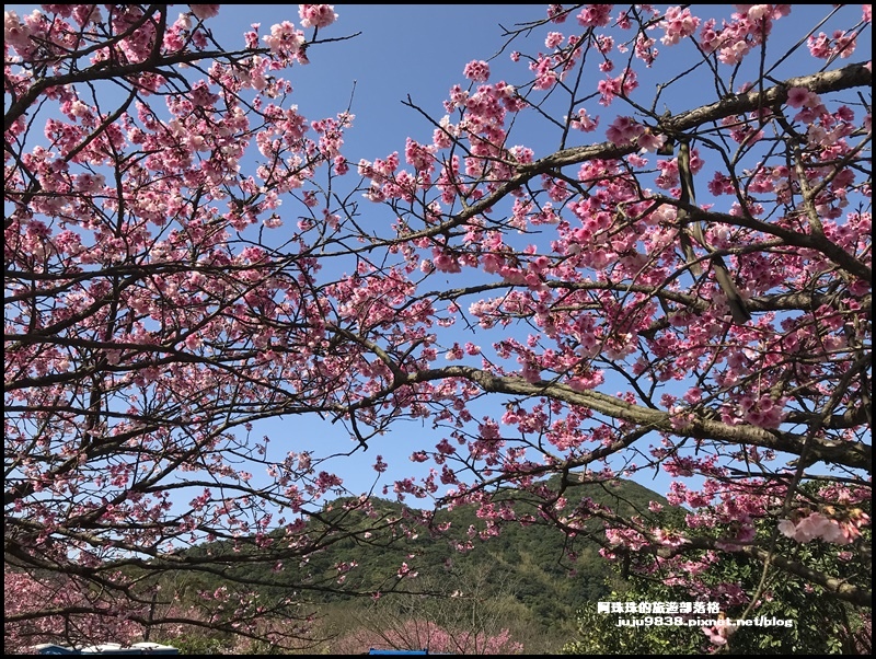 平菁街19.JPG 平菁街19.JPG