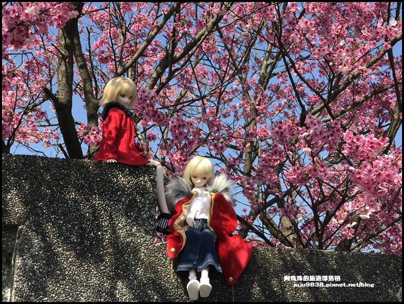 平菁街24.JPG 平菁街24.JPG