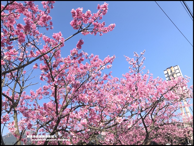 平菁街20.JPG 平菁街20.JPG